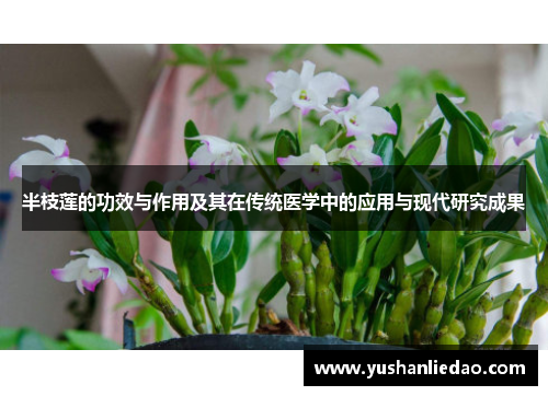 半枝莲的功效与作用及其在传统医学中的应用与现代研究成果 半枝莲的功效与作用及其在传统医学中的应用与现代研究成果
