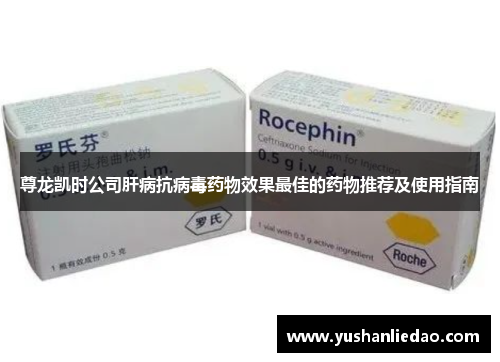 尊龙凯时公司肝病抗病毒药物效果最佳的药物推荐及使用指南