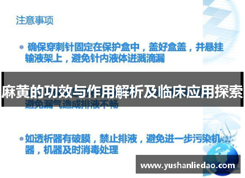 麻黄的功效与作用解析及临床应用探索 麻黄的功效与作用解析及临床应用探索