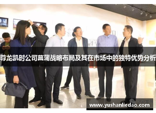 尊龙凯时公司菖蒲战略布局及其在市场中的独特优势分析