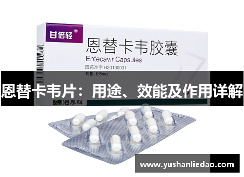 恩替卡韦片：用途、效能及作用详解