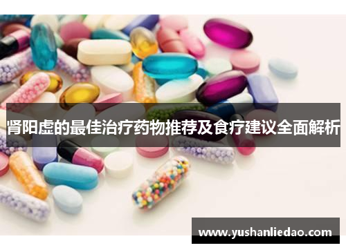 肾阳虚的最佳治疗药物推荐及食疗建议全面解析 肾阳虚的最佳治疗药物推荐及食疗建议全面解析