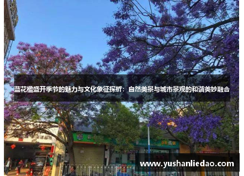 蓝花楹盛开季节的魅力与文化象征探析：自然美景与城市景观的和谐美妙融合