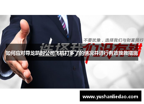 如何应对尊龙凯时公司飞机打多了的情况并进行有效挽救措施