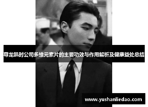 尊龙凯时公司多维元素片的主要功效与作用解析及健康益处总结