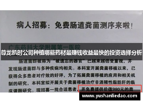 尊龙凯时公司种植哪些药材最赚钱收益最快的投资选择分析