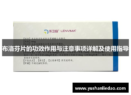 布洛芬片的功效作用与注意事项详解及使用指导 布洛芬片的功效作用与注意事项详解及使用指导