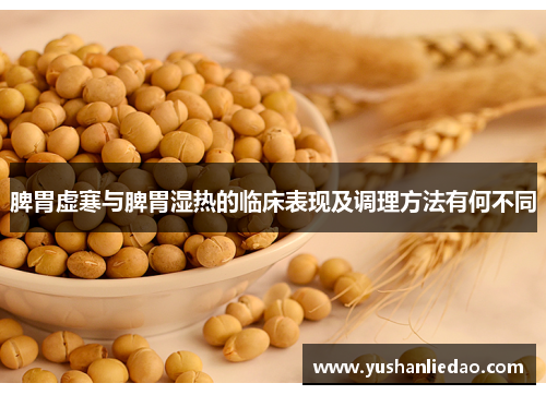 脾胃虚寒与脾胃湿热的临床表现及调理方法有何不同