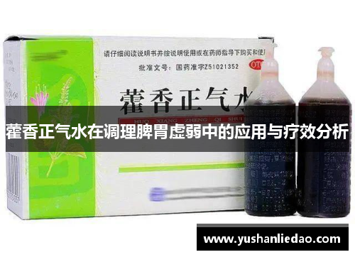 藿香正气水在调理脾胃虚弱中的应用与疗效分析