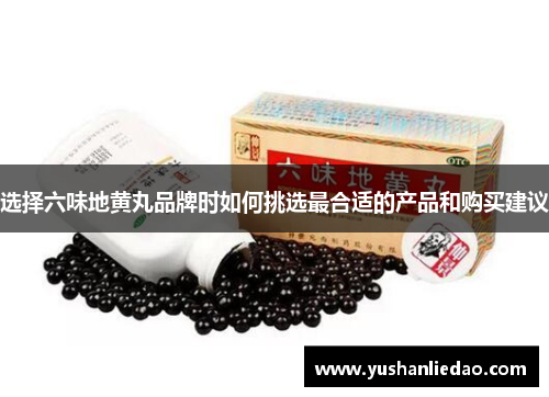 选择六味地黄丸品牌时如何挑选最合适的产品和购买建议
